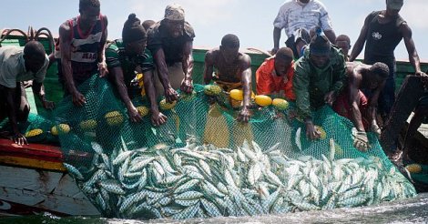 Côtes mauritaniennes : l'absence de la marine sénégalaise déplorée