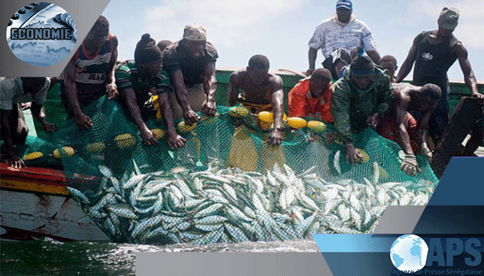 Pêche: Le directeur des pêches maritimes exhorte les acteurs au respect des mesures  institutionnelles