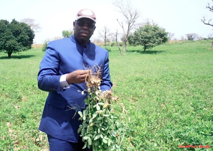 TOURNEE ECONOMIQUE DU CHEF DE L’ETAT, A ROSSO: Les échos de la visite de Macky Sall