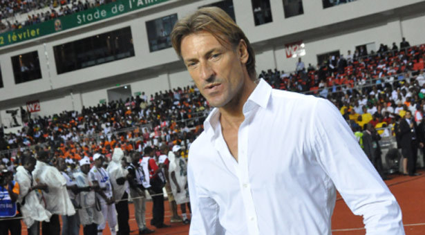 Hervé Renard « l’Algérie a été meilleure que nous »