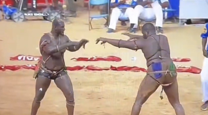 Lutte – trophée d’empereur des arènes : Le lion de Guédiawaye Balla Gaye 2 terrasse Tapha Tine (vidéo)