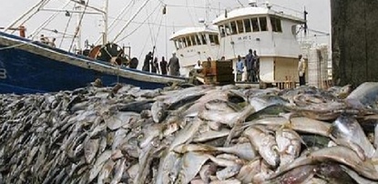 Célébration Journée Mondiale de la pêche : Les acteurs alertent sur les dangers de la pêche INN et l’implantation des usines de farine de poisson