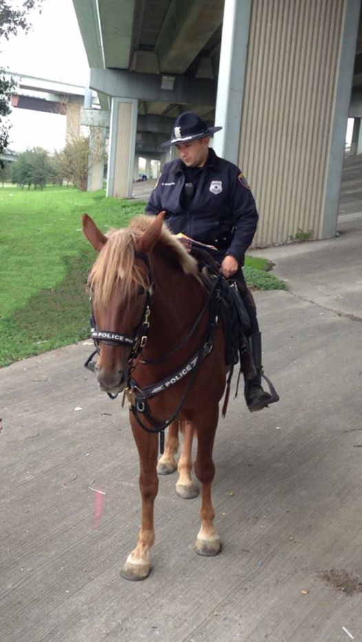 HOUSTON: Le dernier adieu poignant d'un policier à sa monture