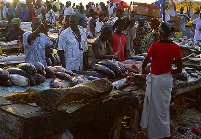 A cause de la rareté du poisson et de son coût assez élevé actuellement à Dakar: Pêcheurs, vendeurs et ménages souffrent le martyre