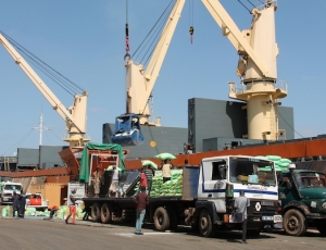 Mafia au Port : Le Trésor réclame 45 milliards à des transitaires