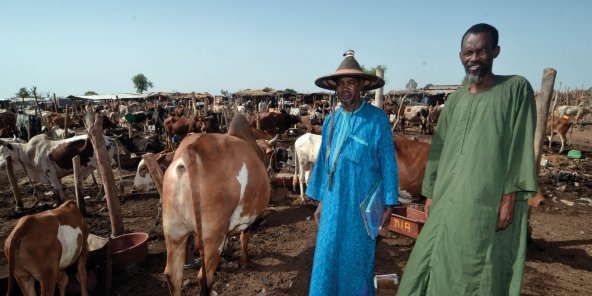 Des Peuls du Mali, du Burkina, et du Niger se mobilisent pour lutter contre l’insécurité