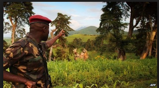 Prise d’otage à Sédhiou – les rebelles réclament maintenant 5 millions FCFA