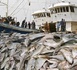 Célébration Journée Mondiale de la pêche : Les acteurs alertent sur les dangers de la pêche INN et l’implantation des usines de farine de poisson