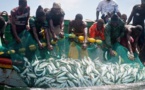 Côtes mauritaniennes : l'absence de la marine sénégalaise déplorée