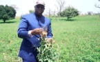 Podor: les agriculteurs exposent leurs doléances à Macky Sall