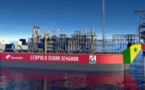 Exploitation du champ pétrolier de Sangomar : Le coût de la première phase estimé à 5,2 milliards de dollars