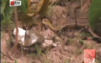 VIDEO-Mystique: un serpent propriétaire du village à Dionewar - 17 Aout 2015